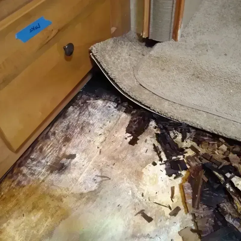 Best Wood Floor Water Damage Service in Kensington Park, FL